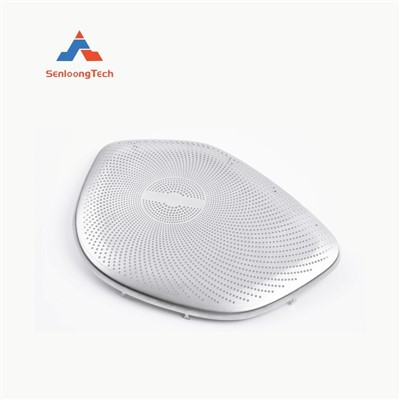 Griglia altoparlante in acciaio inossidabile